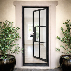 Iron single French door square top 6-lite ornate design Texas
