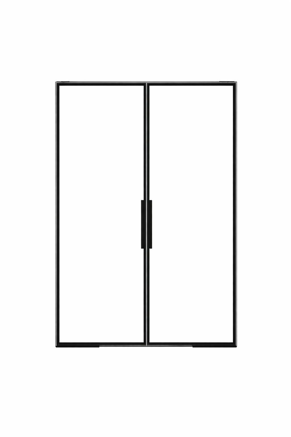 Iron double French door full glass no dividers modern entrance Texas