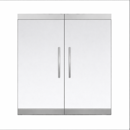 Frameless Commercial Glass Double Door