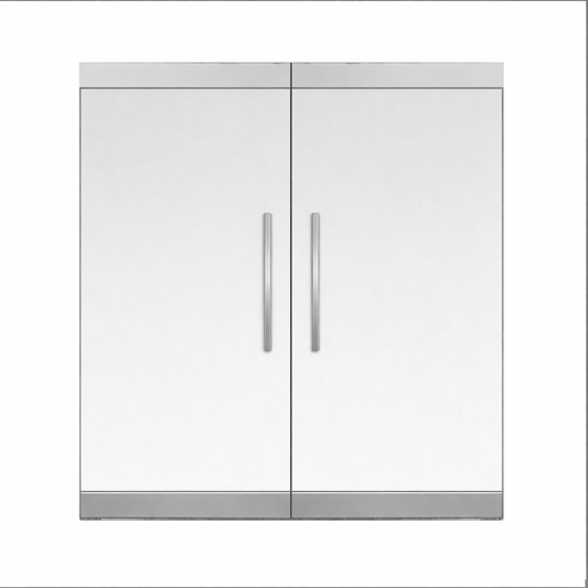 Frameless Commercial Glass Double Door